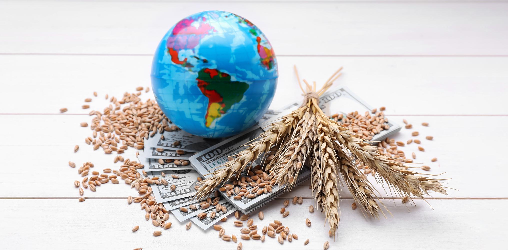 لماذا يمكن أن تتصاعد أزمة الغذاء العالمية؟